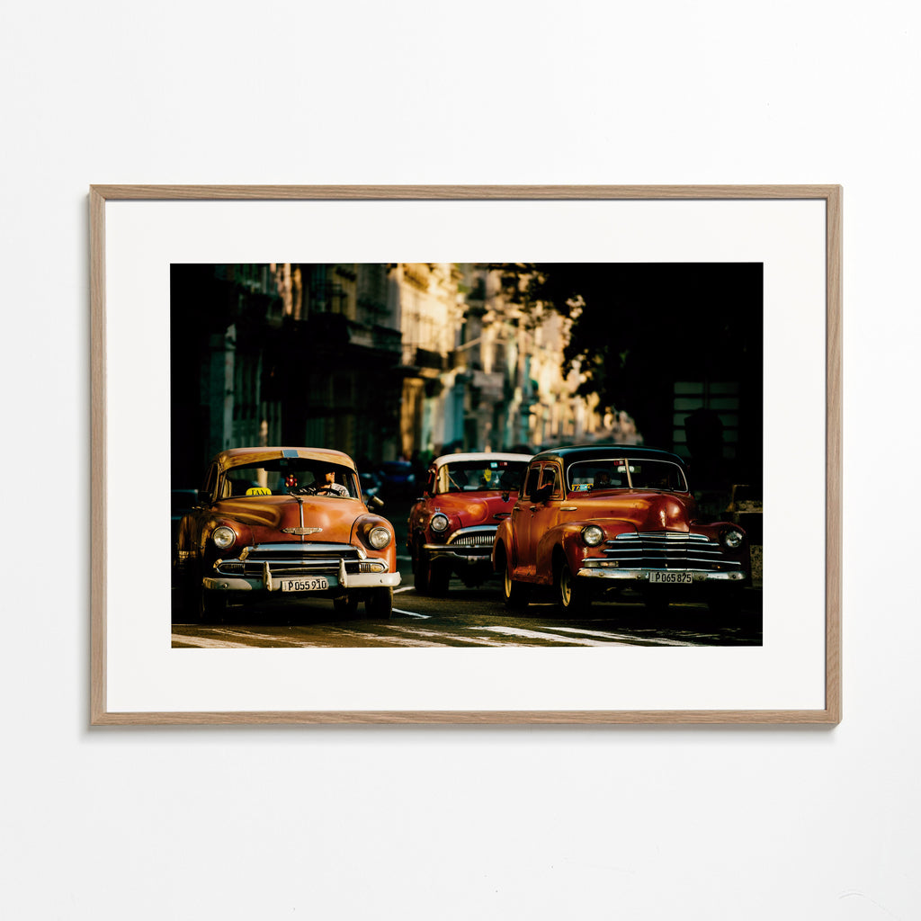 Come with me in the morning light - Gina Buliga