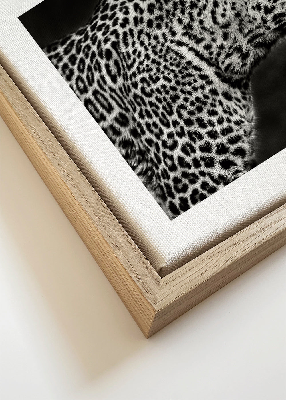 Leopard Close Up - Xavier Ortega