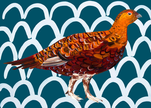 Gorgeous Grouse - Alice Straker