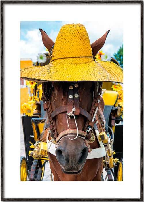 Cheval portrait au chapeau jaune – Black Frame
