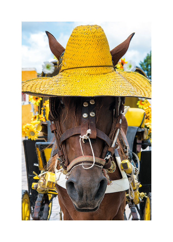 Cheval portrait au chapeau jaune