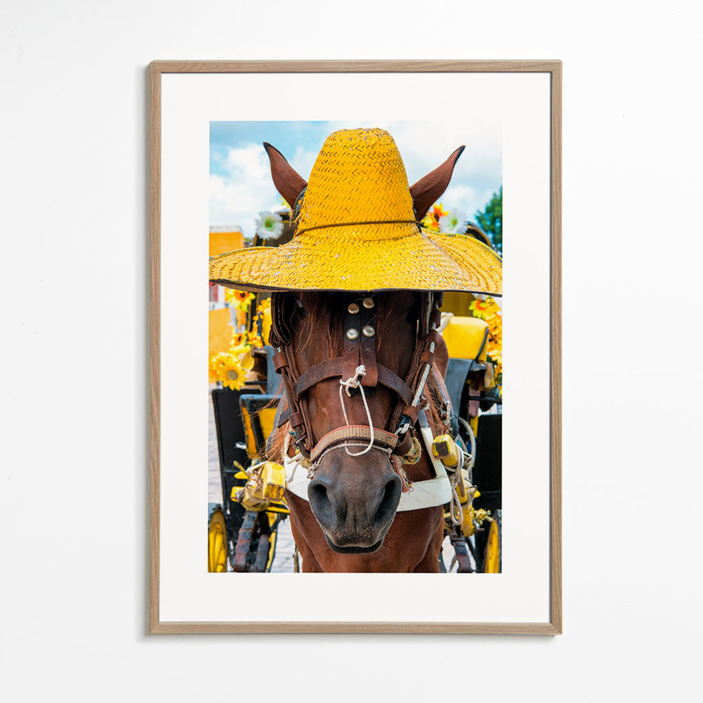 Cheval portrait au chapeau jaune – Oak Frame