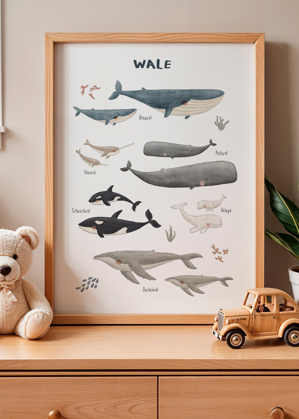 Ballenas fondo blanco (aleman)