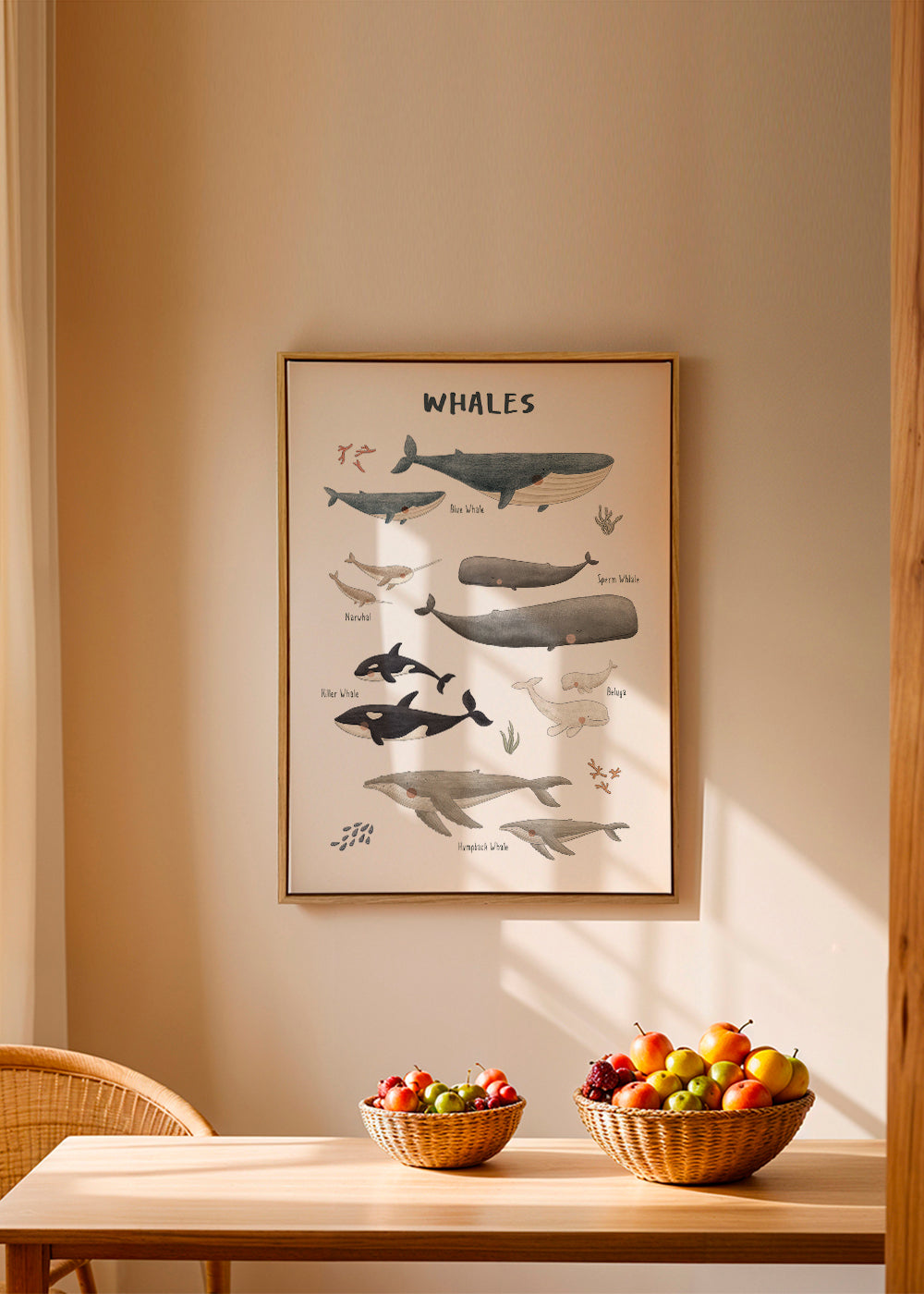 Ballenas fondo blanco (inglés)