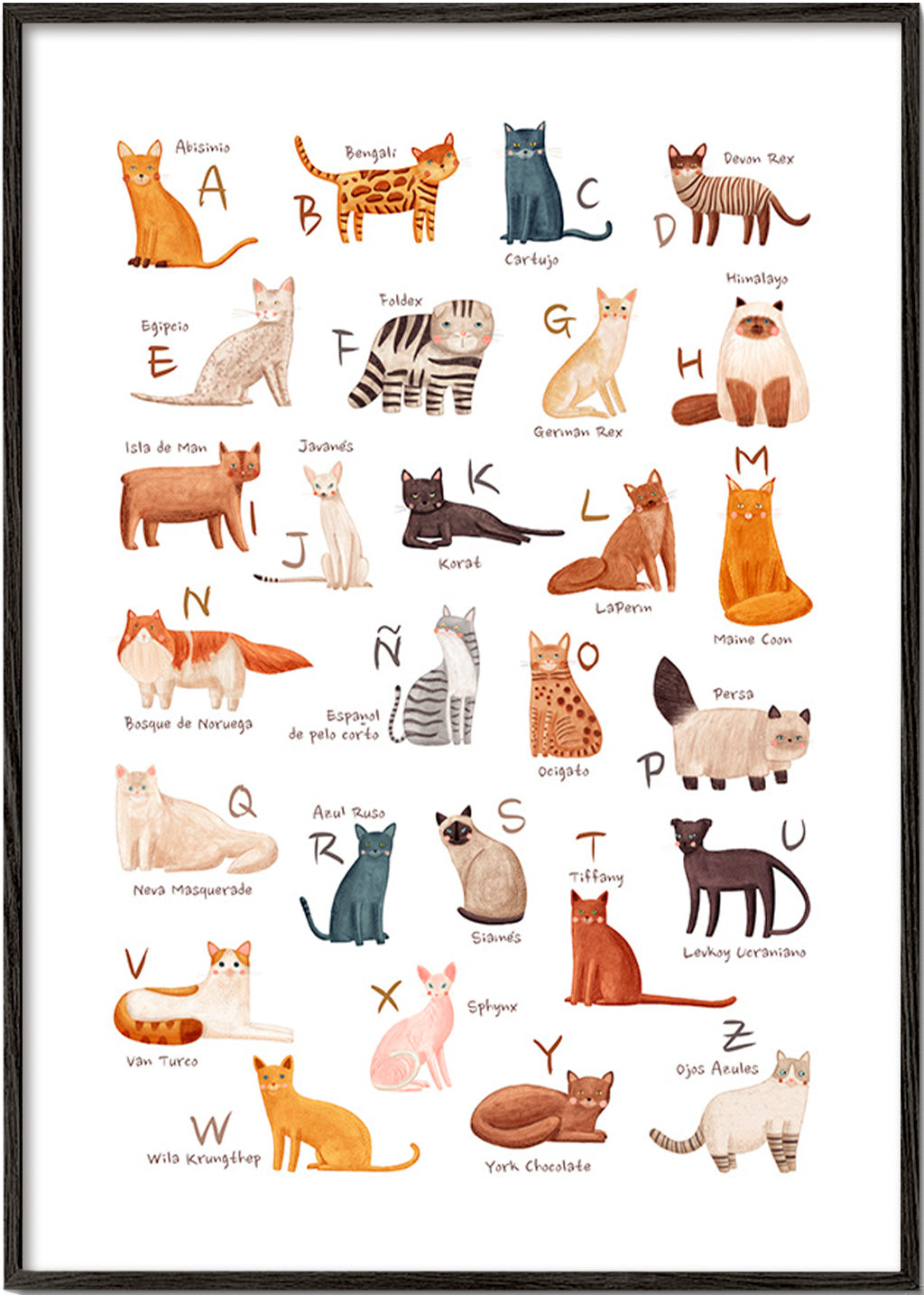 Illustration enfant Abécédaire de chats illustré