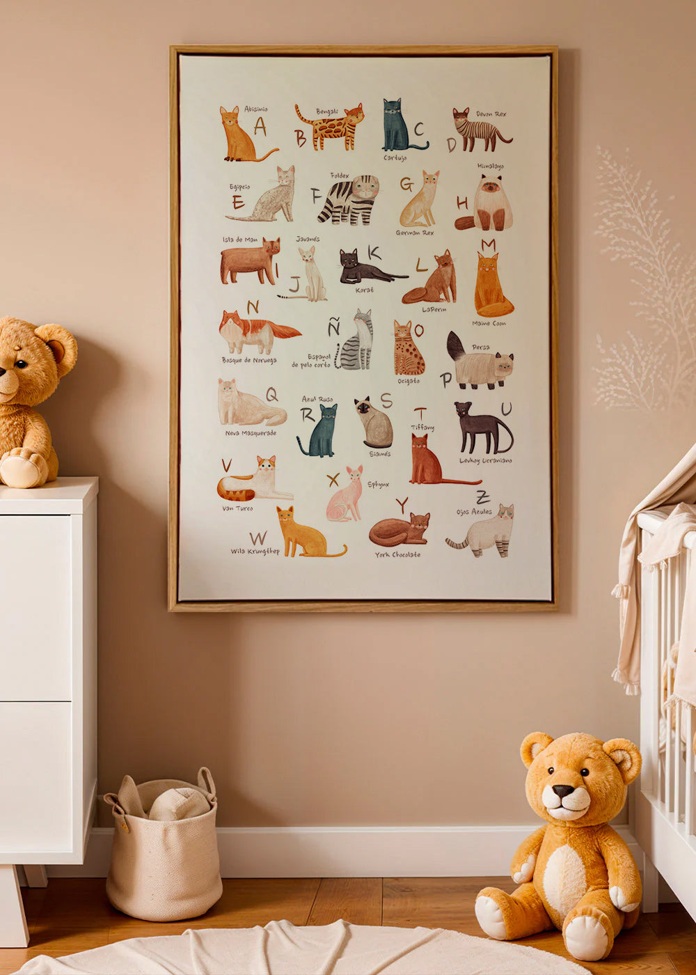 Illustration enfant Abécédaire de chats illustré