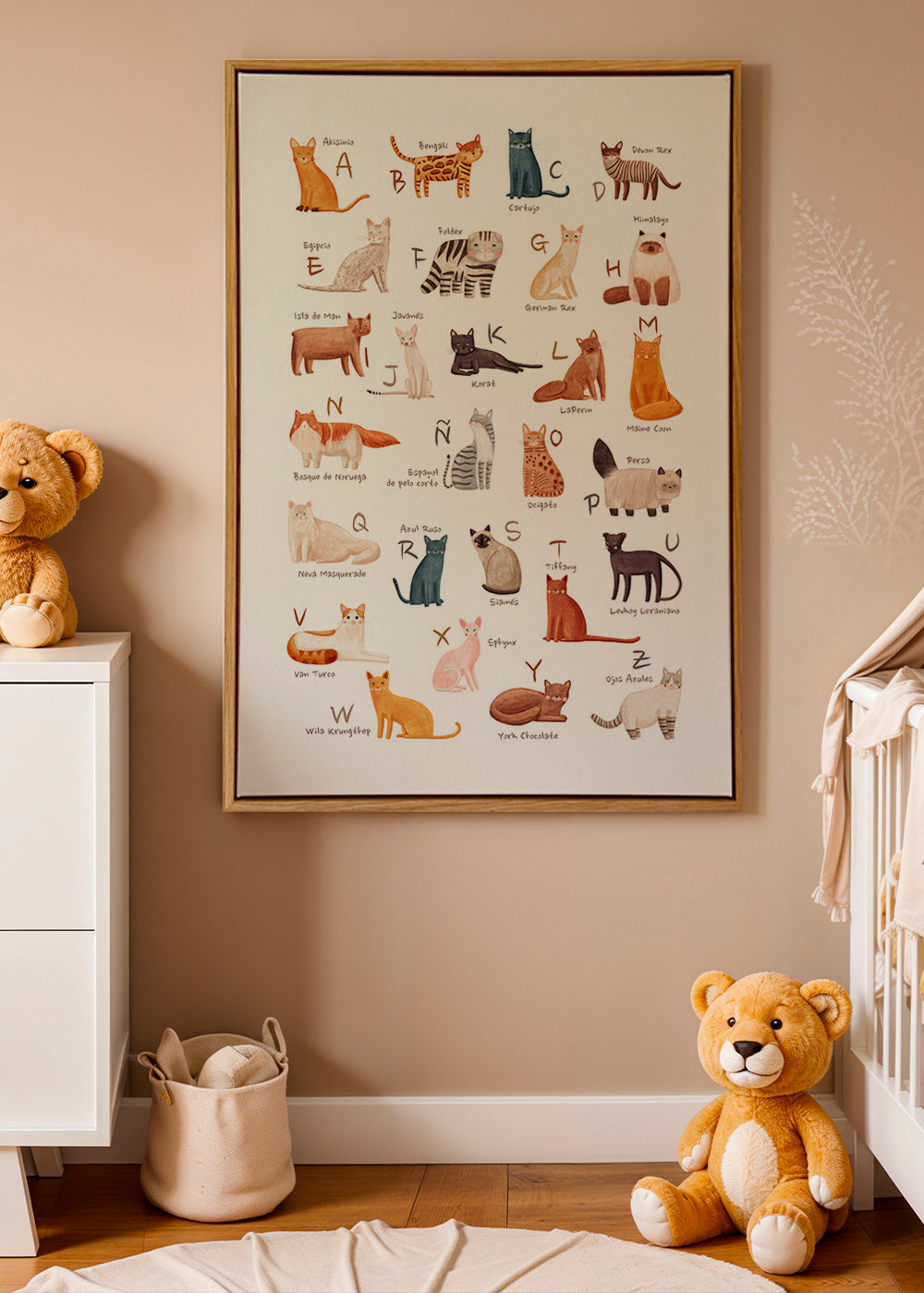 Illustration enfant Abécédaire de chats illustré