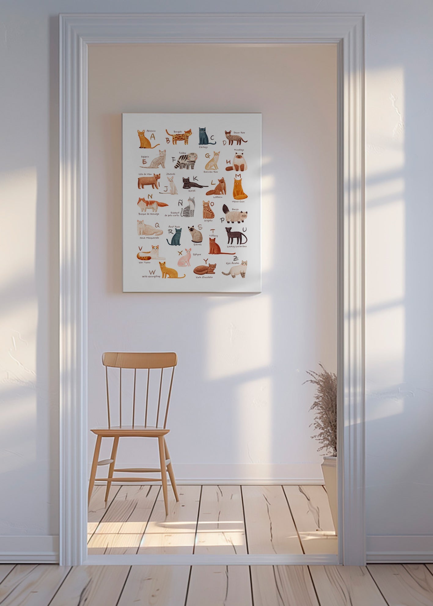 Illustration enfant Abécédaire de chats illustré