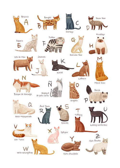 Illustration enfant Abécédaire de chats illustré
