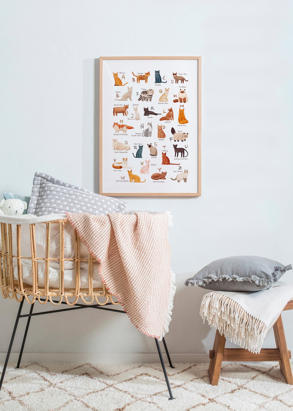 Illustration enfant Abécédaire de chats illustré
