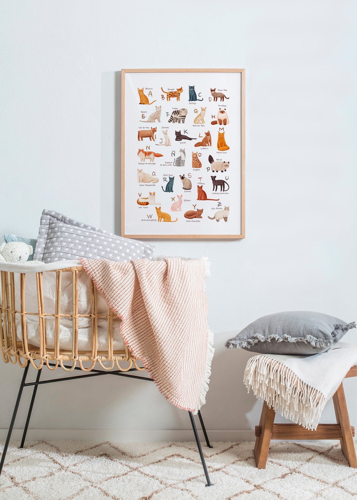 Illustration enfant Abécédaire de chats illustré