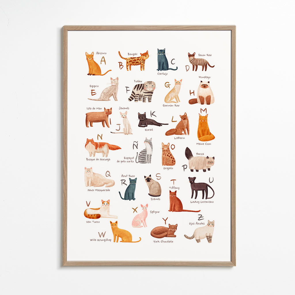 Illustration enfant Abécédaire de chats illustré