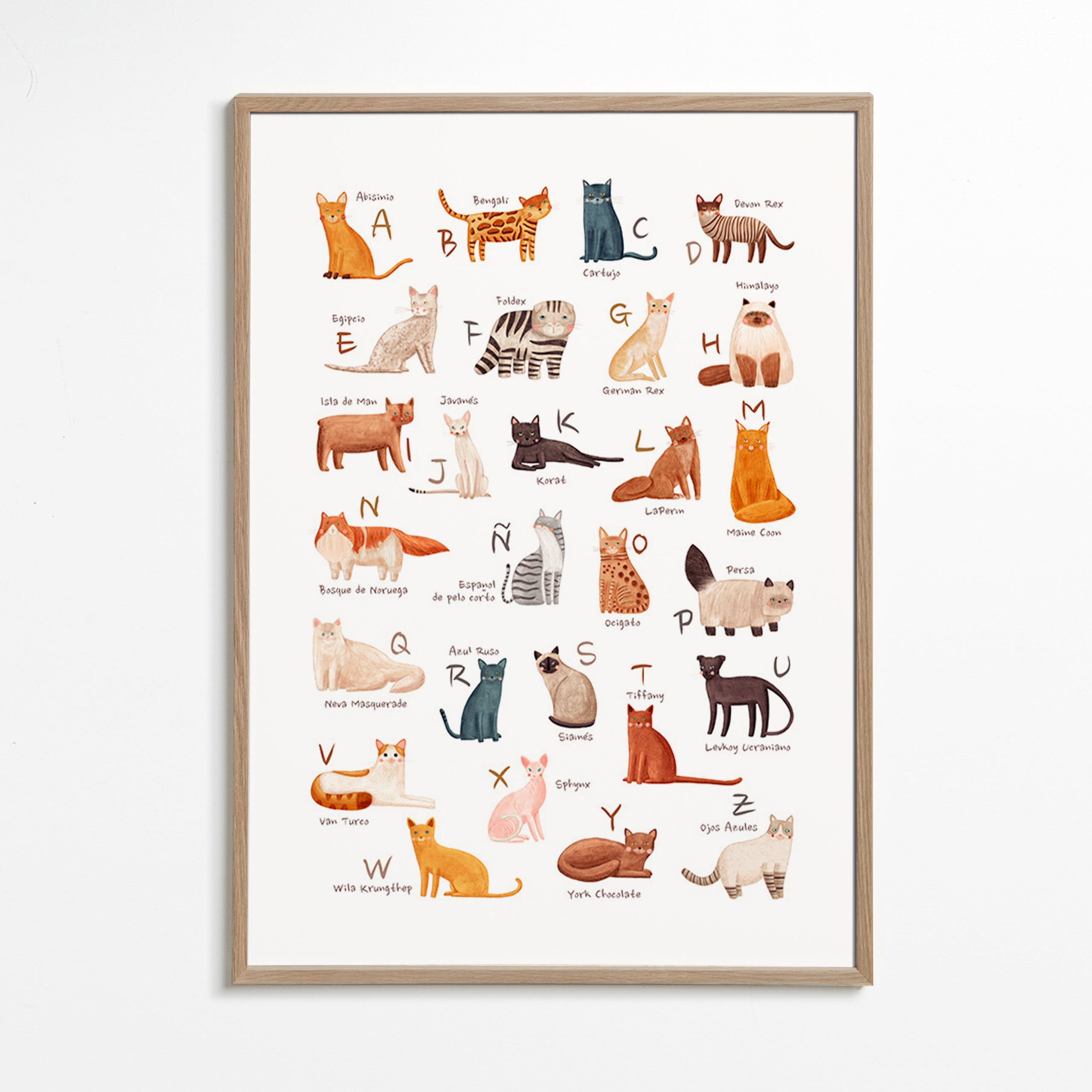 Illustration enfant Abécédaire de chats illustré