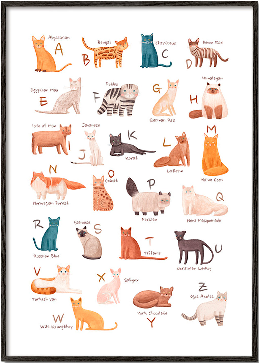 Illustration enfantine: alphabet des chats