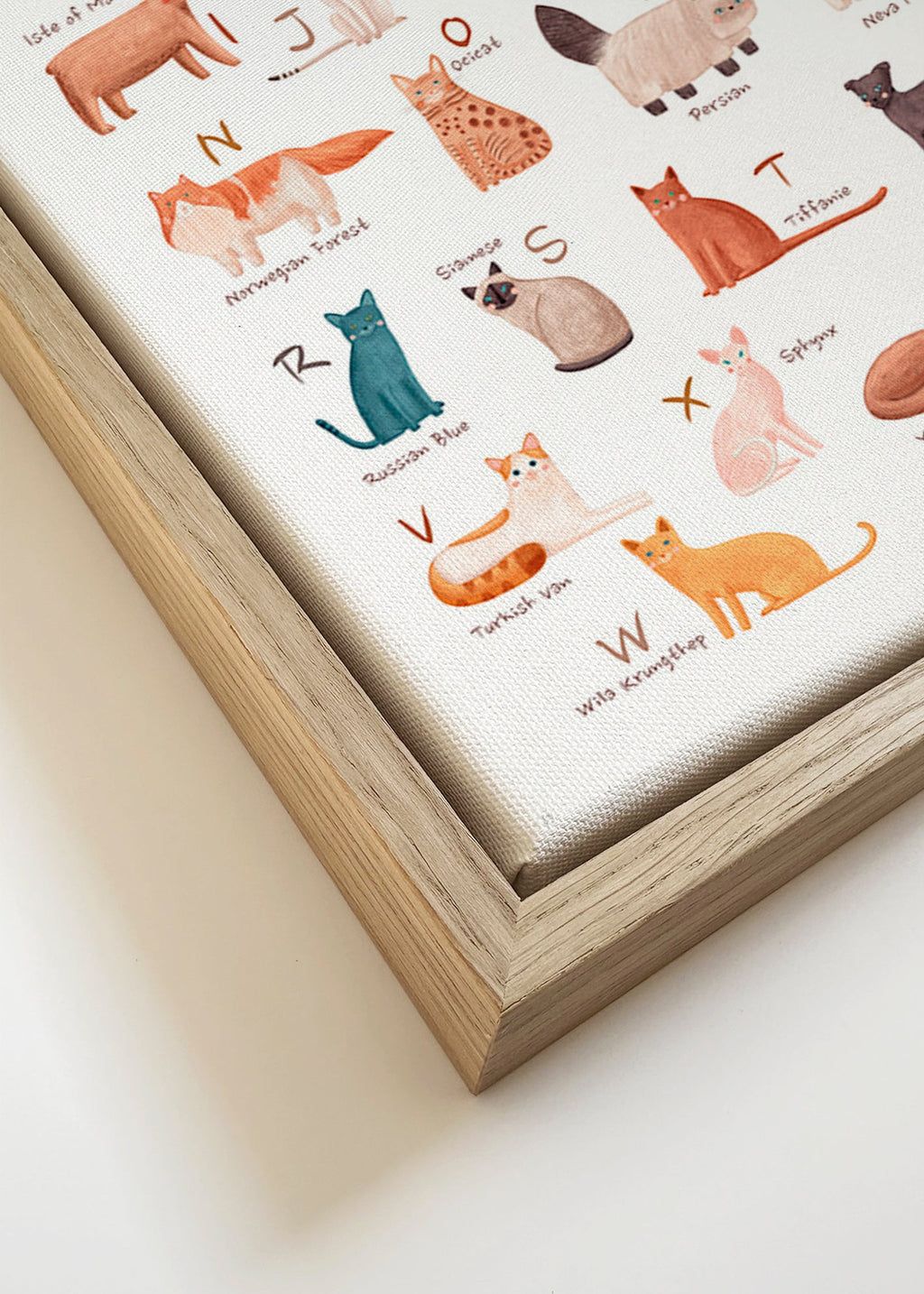Illustration enfantine: alphabet des chats
