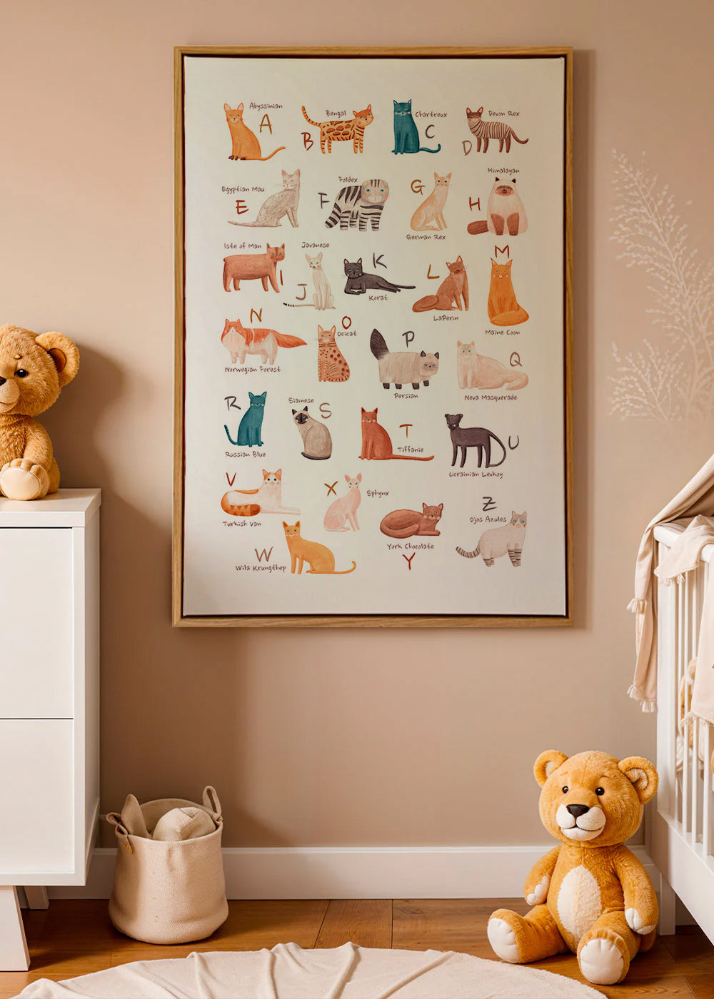Illustration enfantine: alphabet des chats