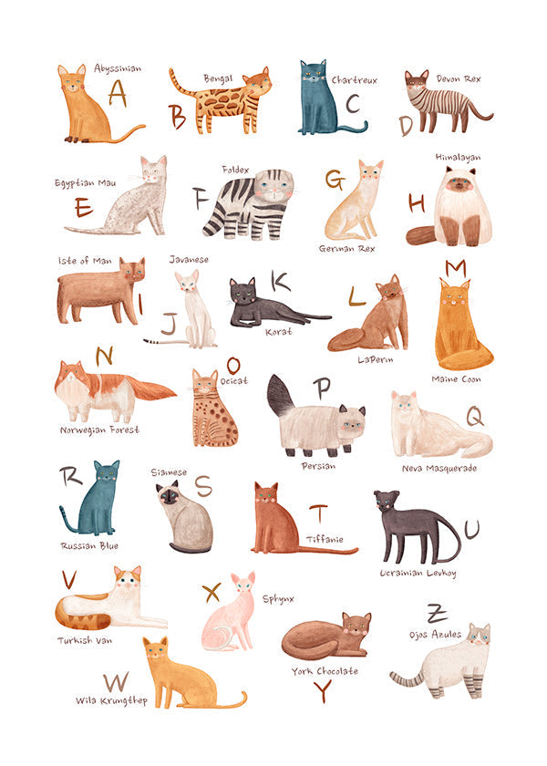 Illustration enfantine: alphabet des chats