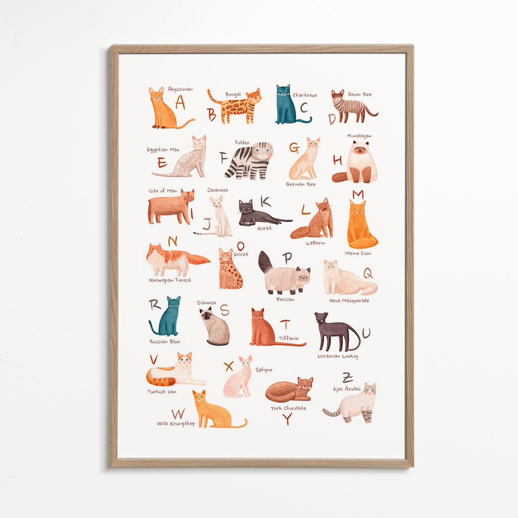 Illustration enfantine: alphabet des chats