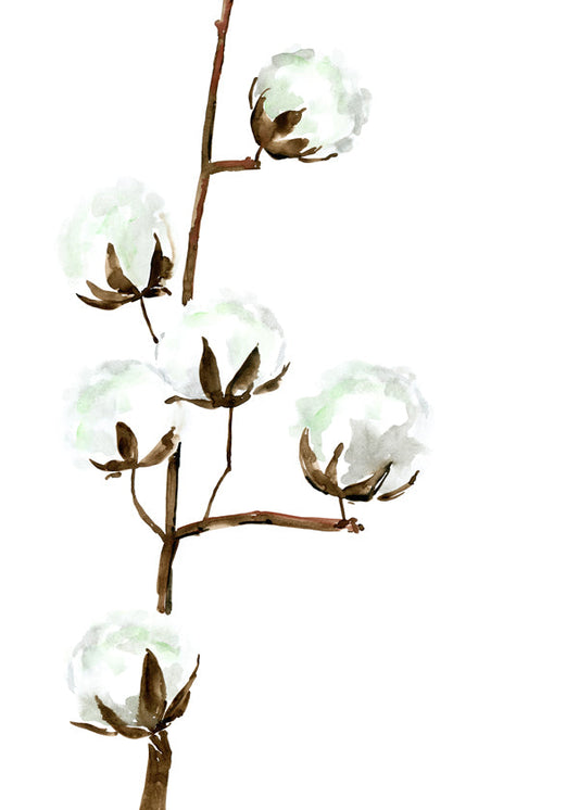Watercolor cotton branch II