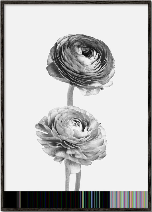 Flowers black and white photograph