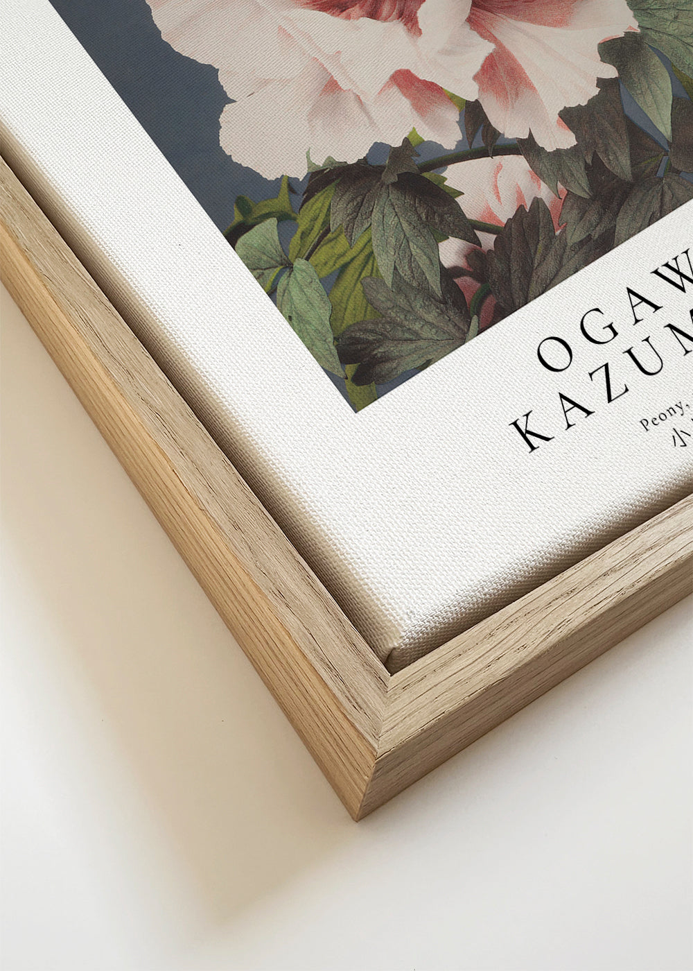 Peony by Ogawa Kazumasa - Square