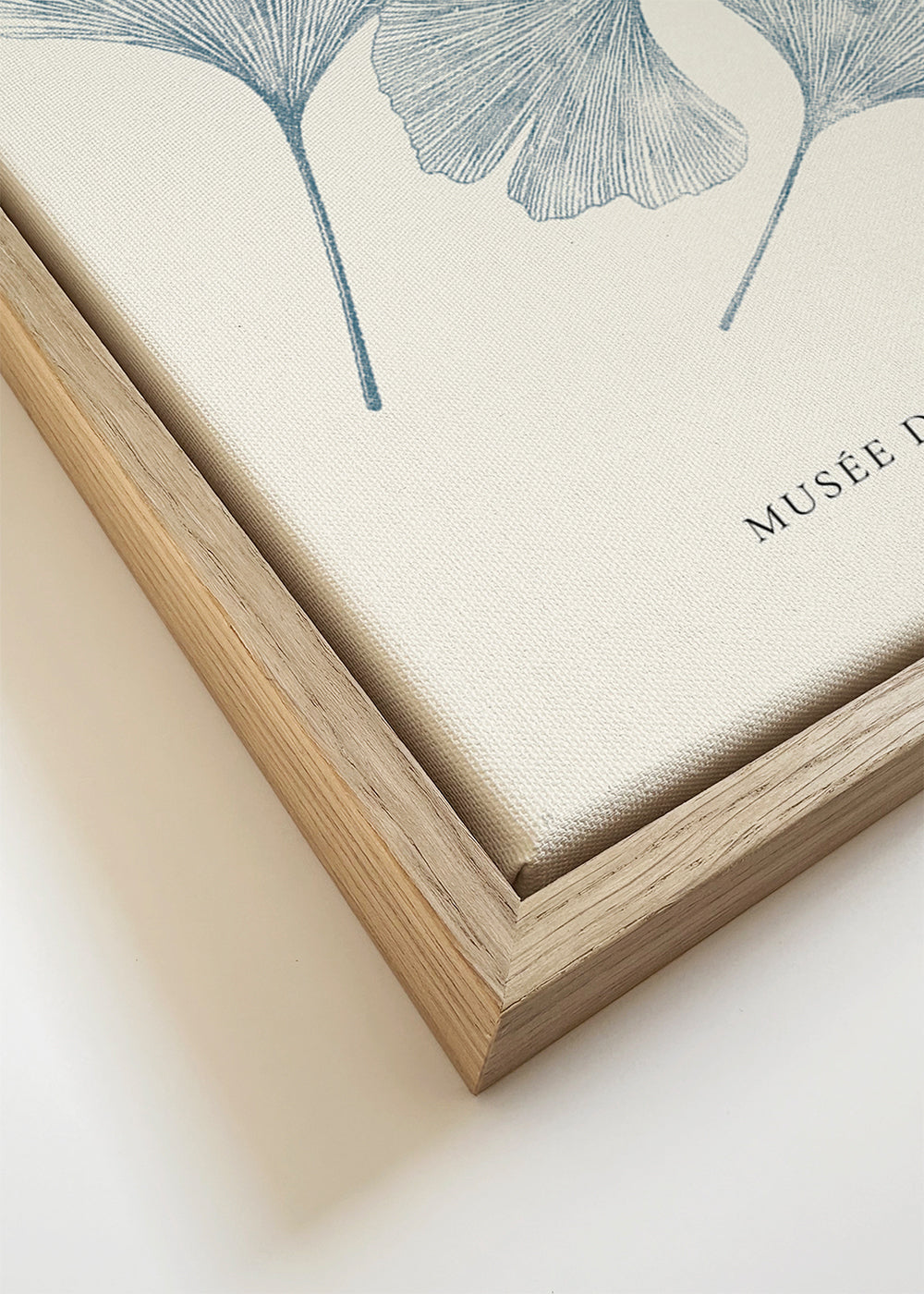 Exposition de linogravure, Ginkgo leaves