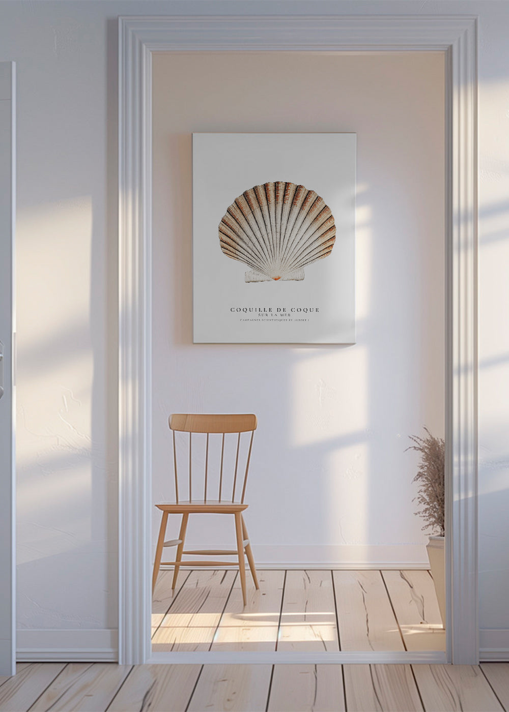 Seashell (coquille de coque) - Sealife Collection