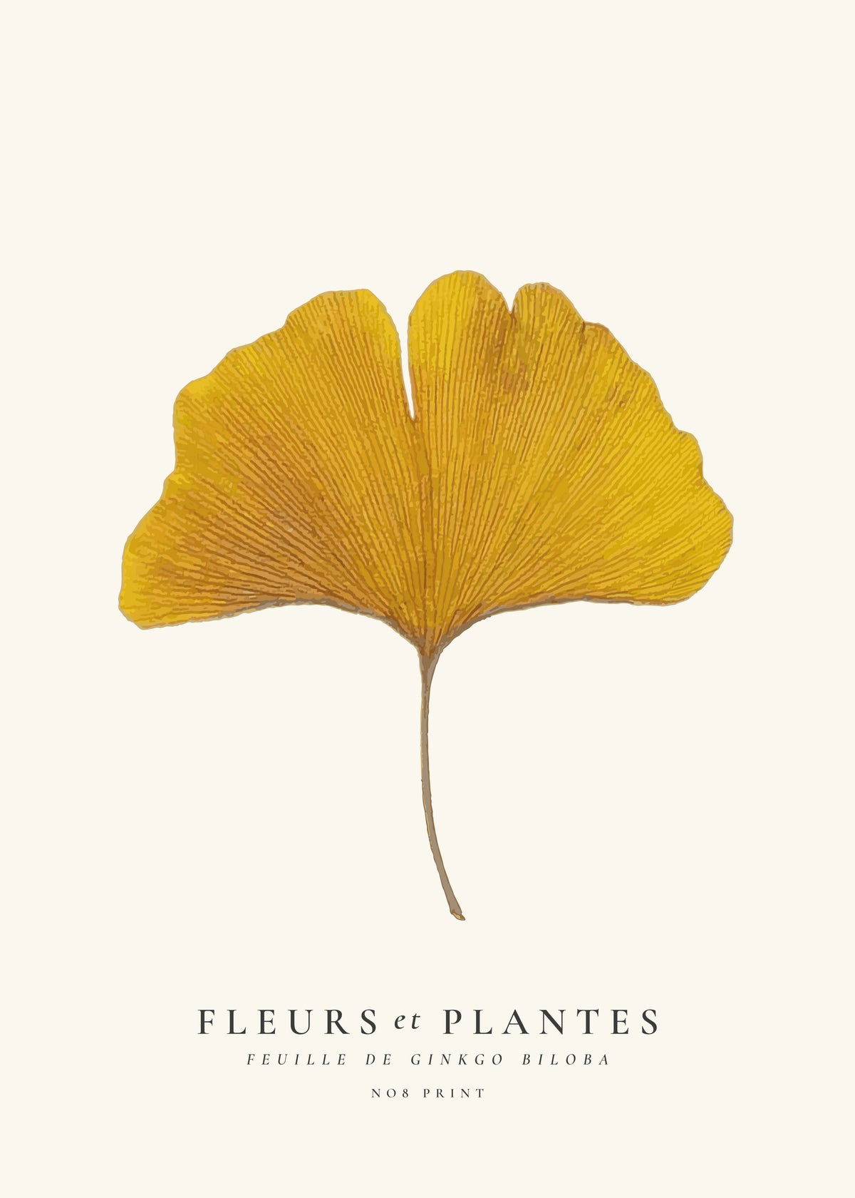 Botanical, Fleurs et plantes -Ginkgo biloba leaf - Unframed art print