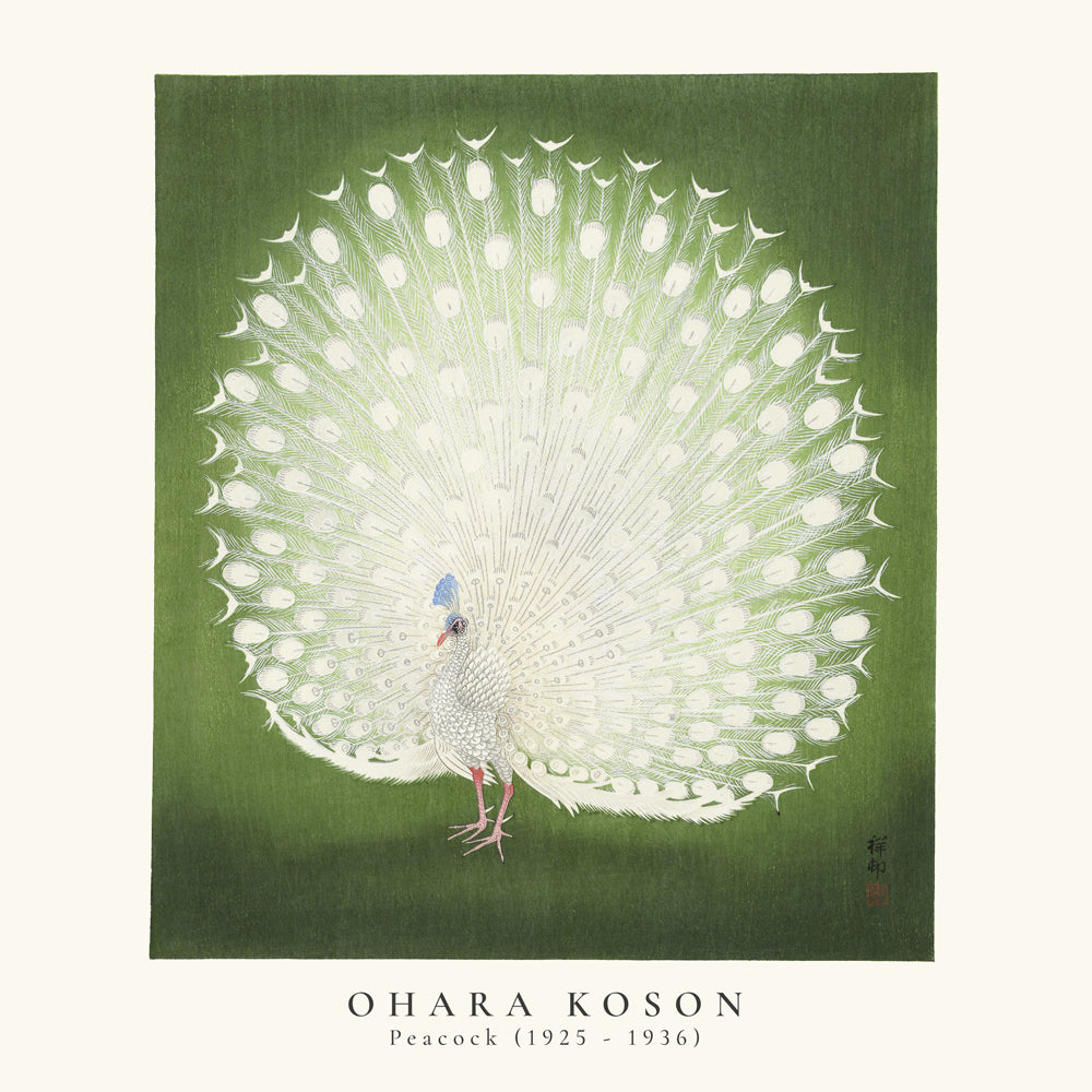 Ohara Koson, Peacock - SQUARE