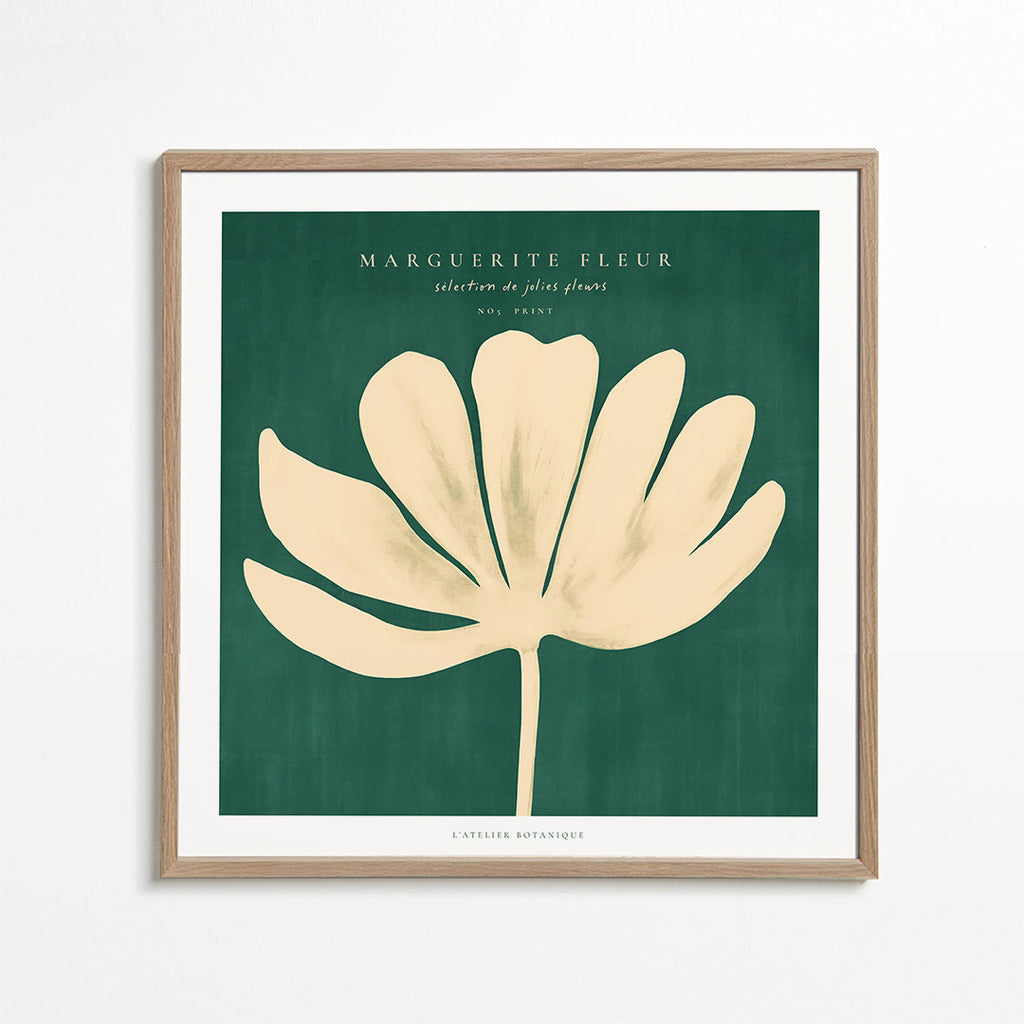 Daisy Flower (Marguerite Fleur) - SQUARE