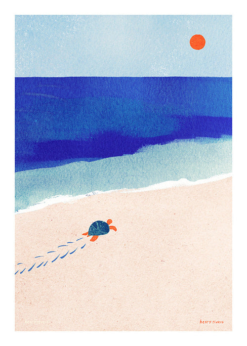 Illustration de tortue en bord de mer