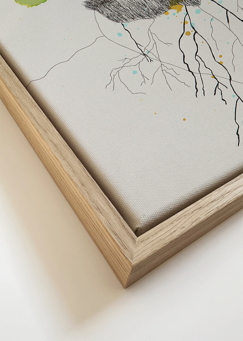 Arrels i ales - Rubén Afonso