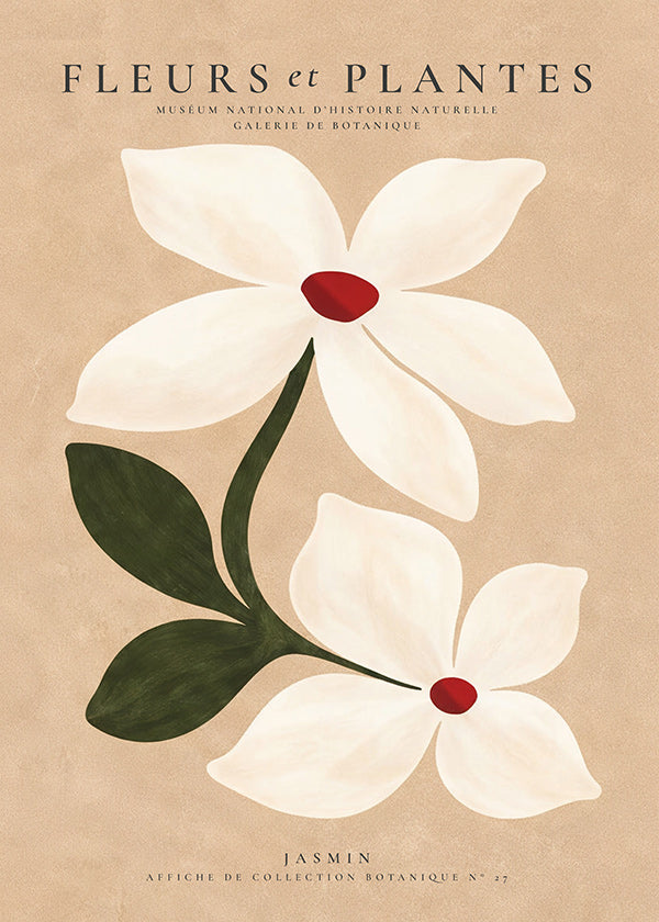 Impression botanique de jasmin sur fond beige