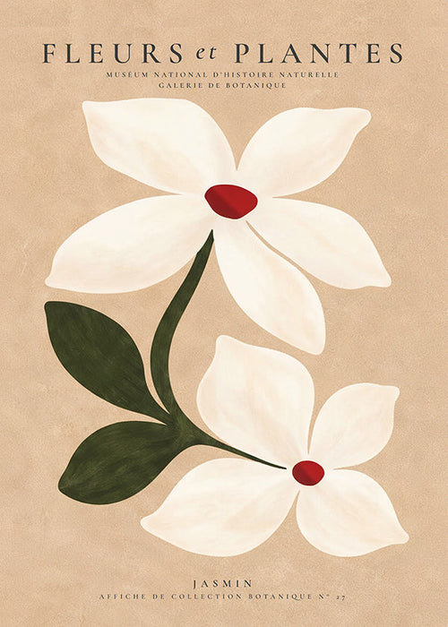 Impression botanique de jasmin sur fond beige