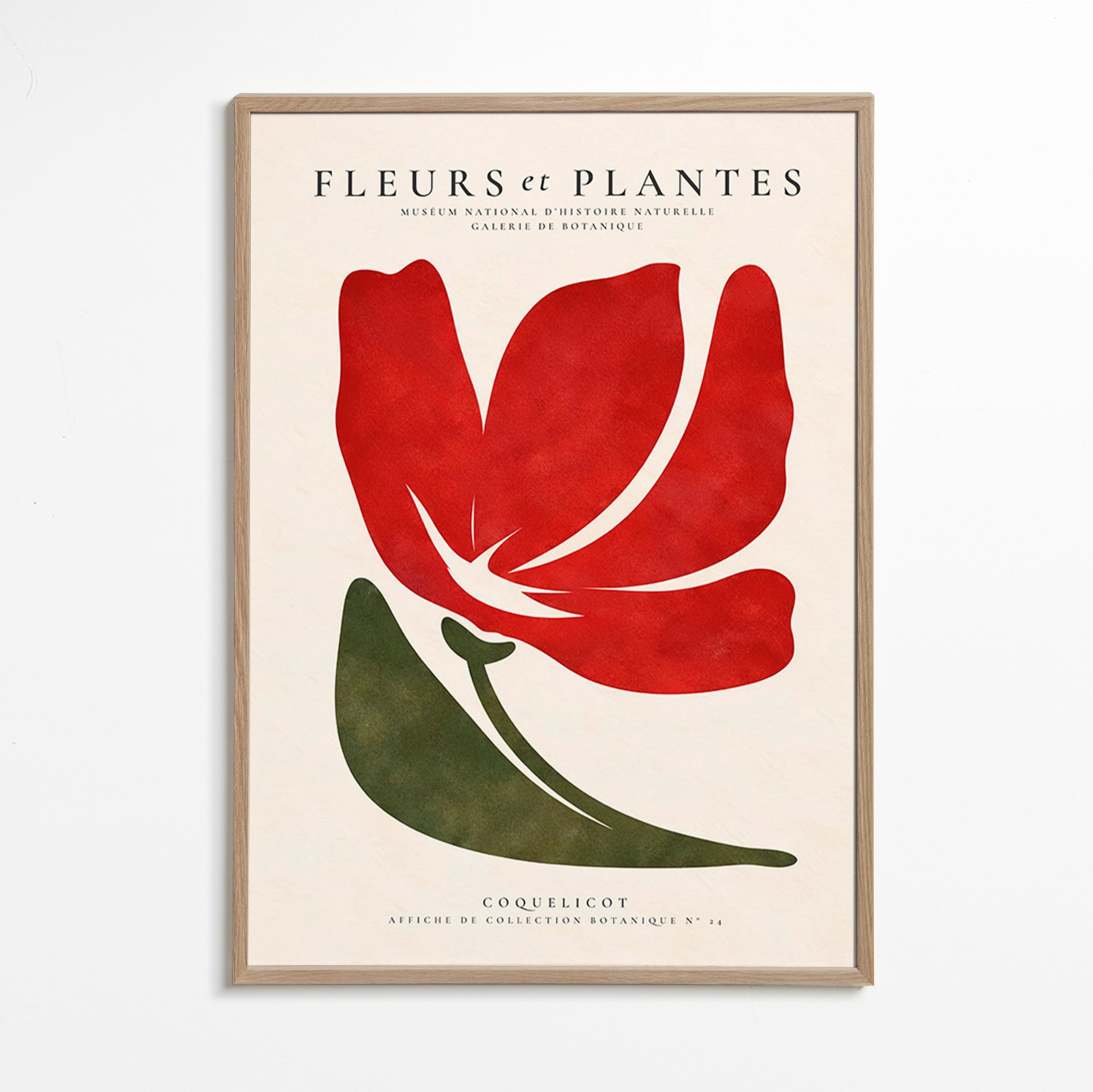Estampe botanique : coquelicot rouge stylisé