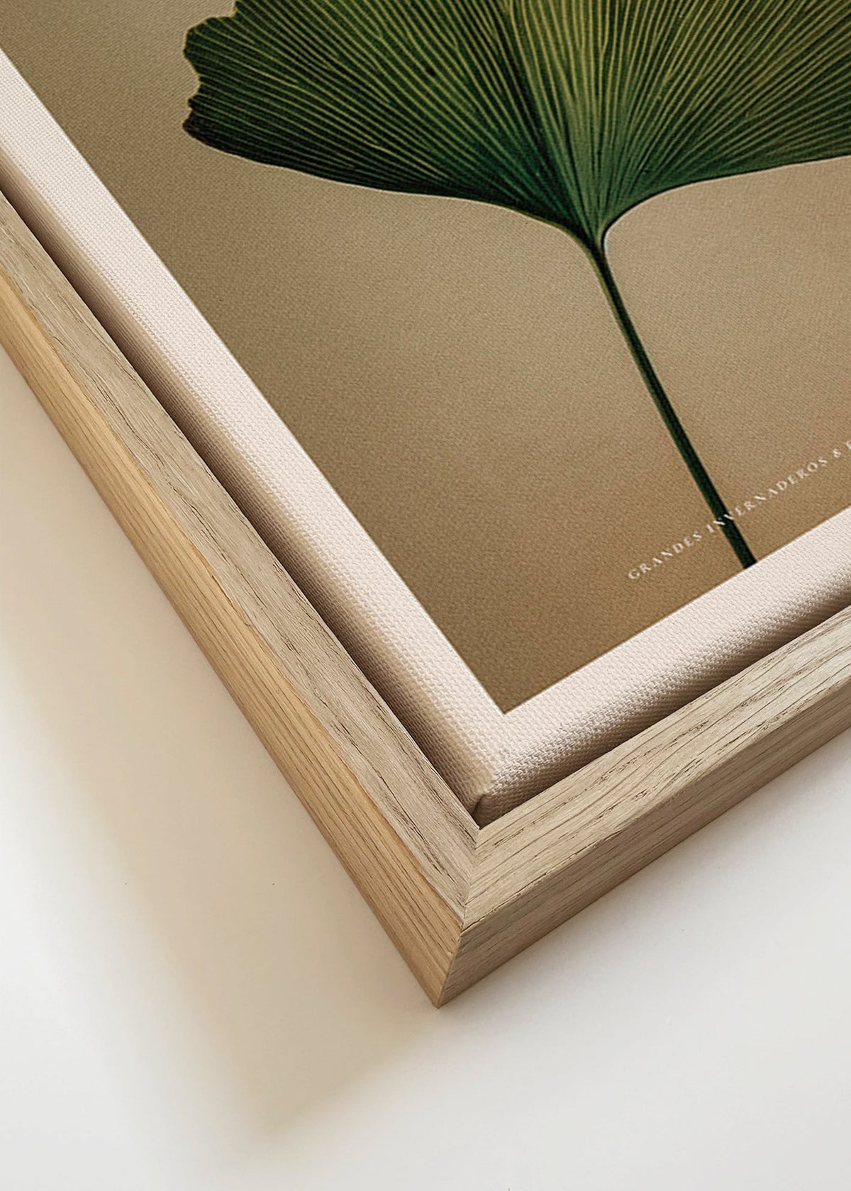 Impression botanique avec feuille de ginkgo et typographie classique