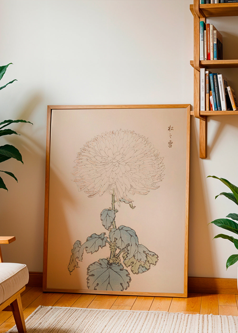 Impression botanique: étude du chrysanthème japonais