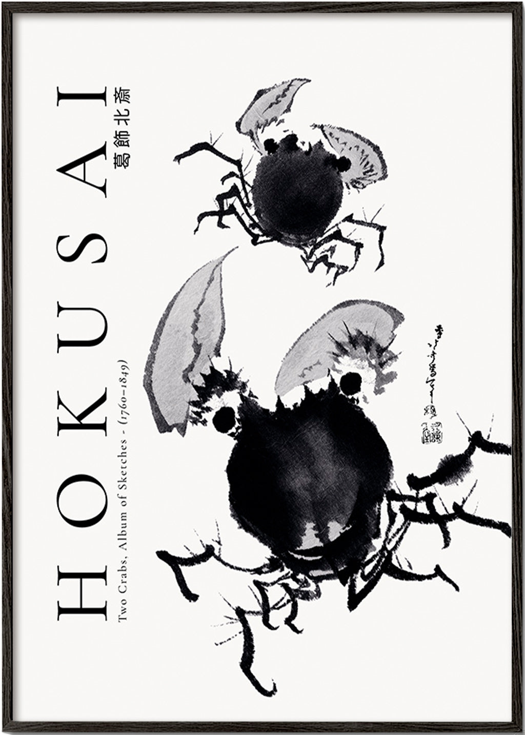 Étude de crabes à l'encre