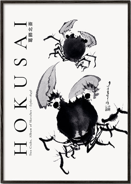 Étude de crabes à l'encre
