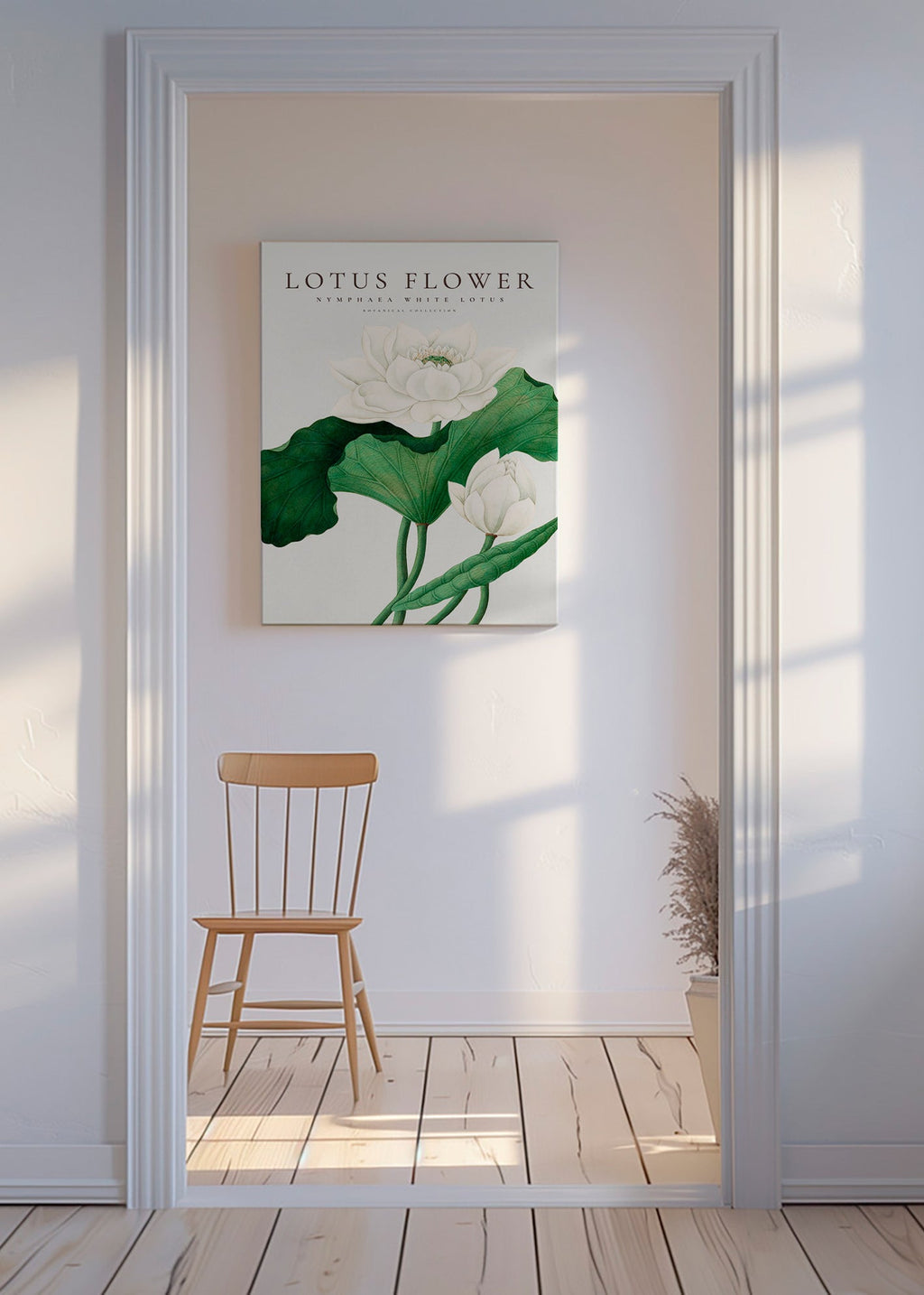 Impression botanique Lotus blanc détail