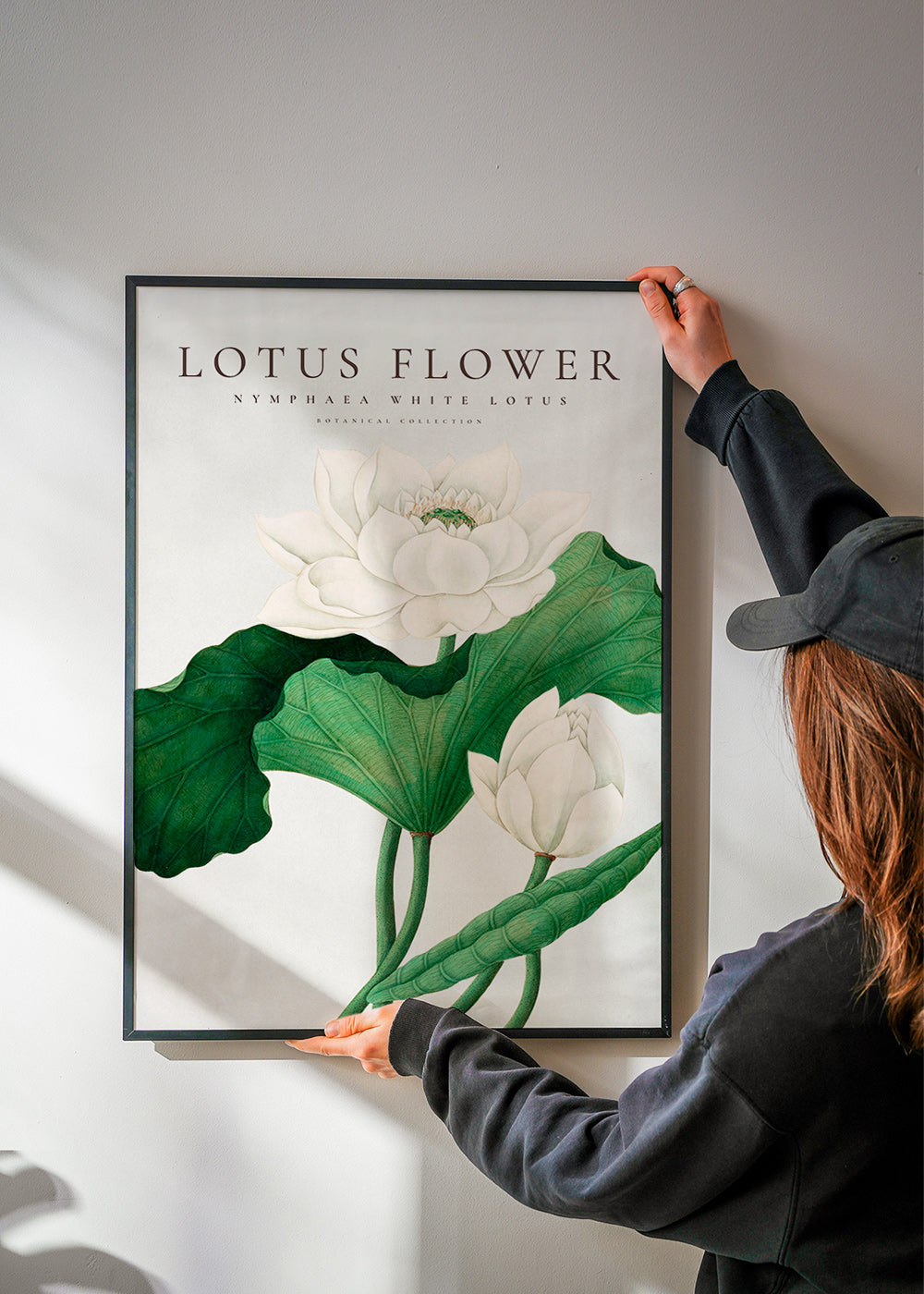 Impression botanique Lotus blanc détail