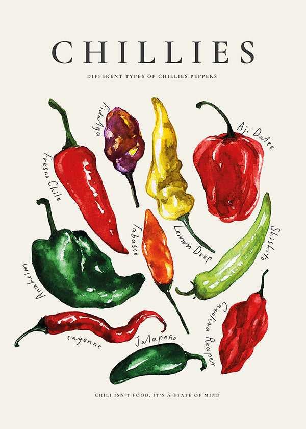 Art de cuisine Chillies à l'aquarelle