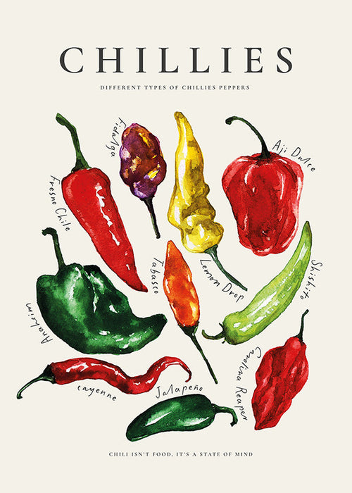 Art de cuisine Chillies à l'aquarelle