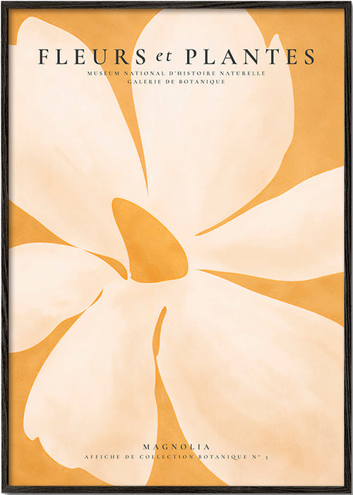 Impression botanique Magnolia grand format