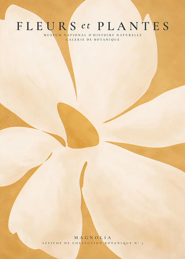 Impression botanique Magnolia grand format