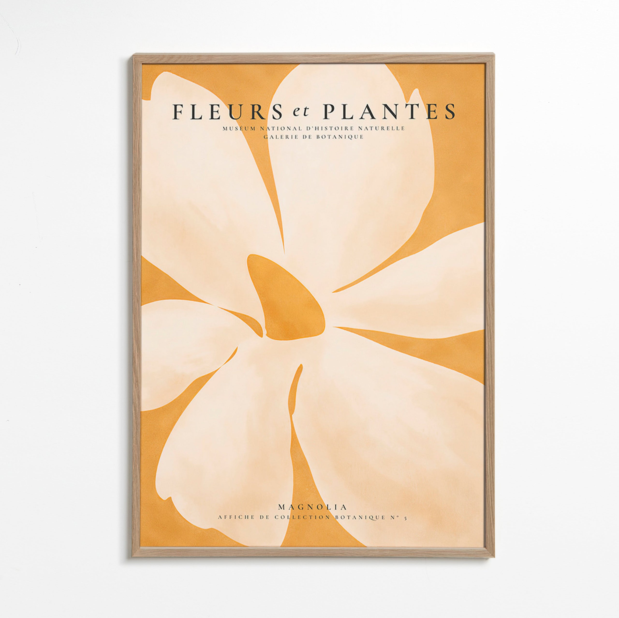 Impression botanique Magnolia grand format
