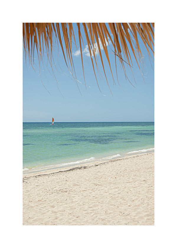 Tableau paysage: plage caribéenne avec palmier