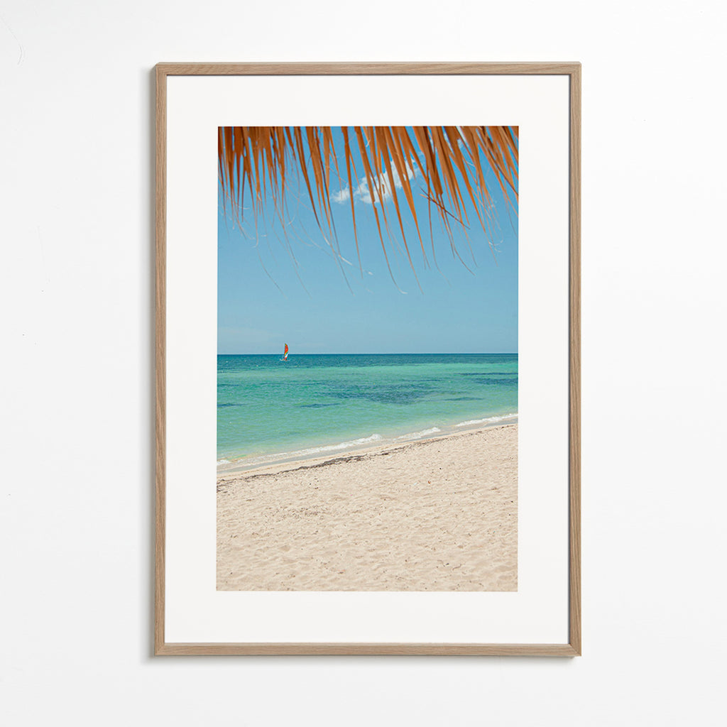 Tableau paysage: plage caribéenne avec palmier