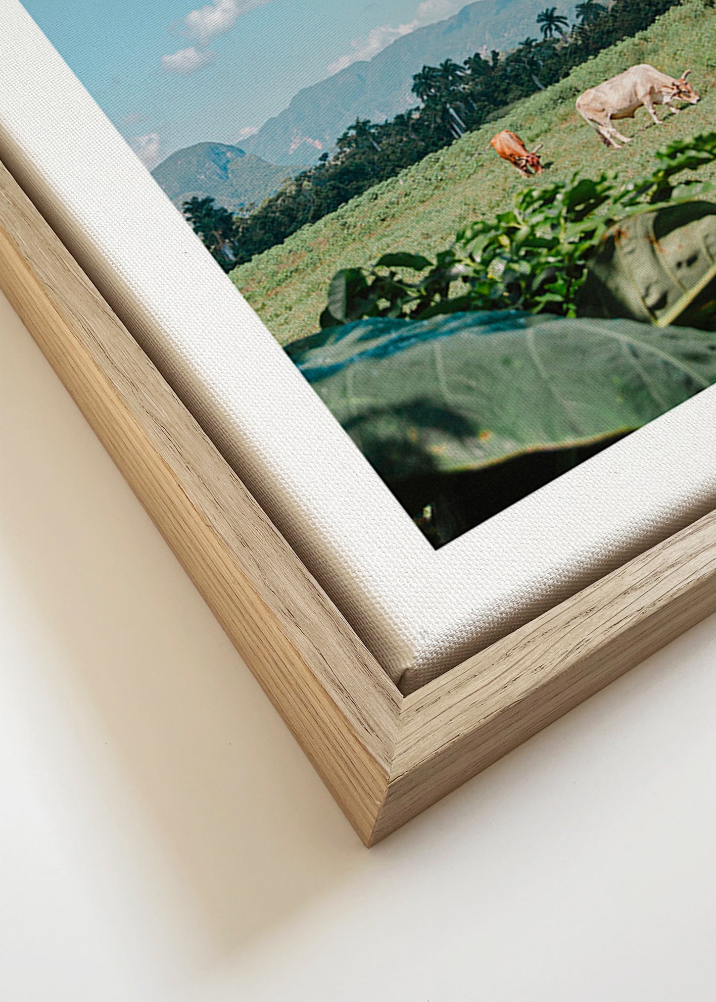 Art de paysage : champs avec vaches y ciel vaste