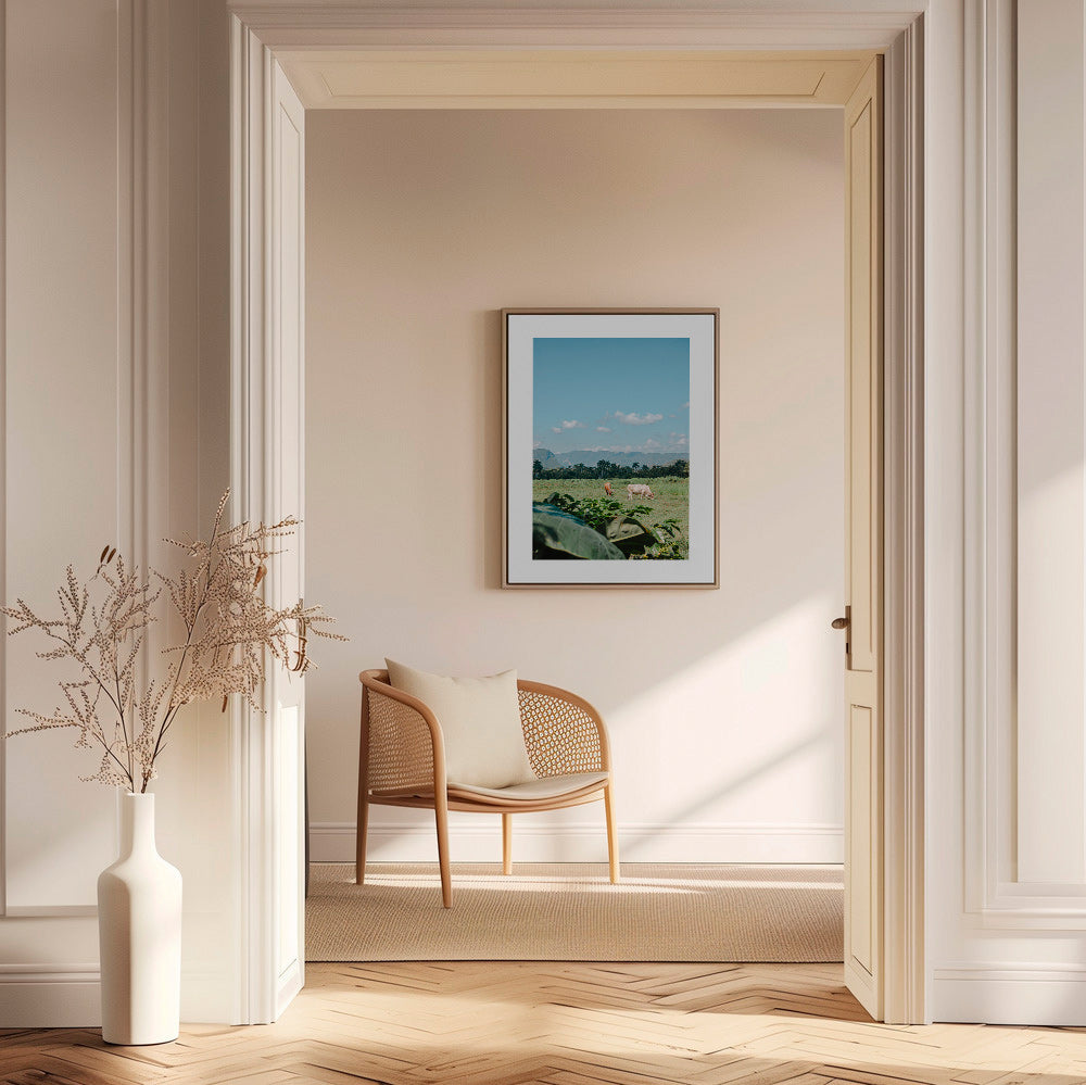 Art de paysage : champs avec vaches y ciel vaste